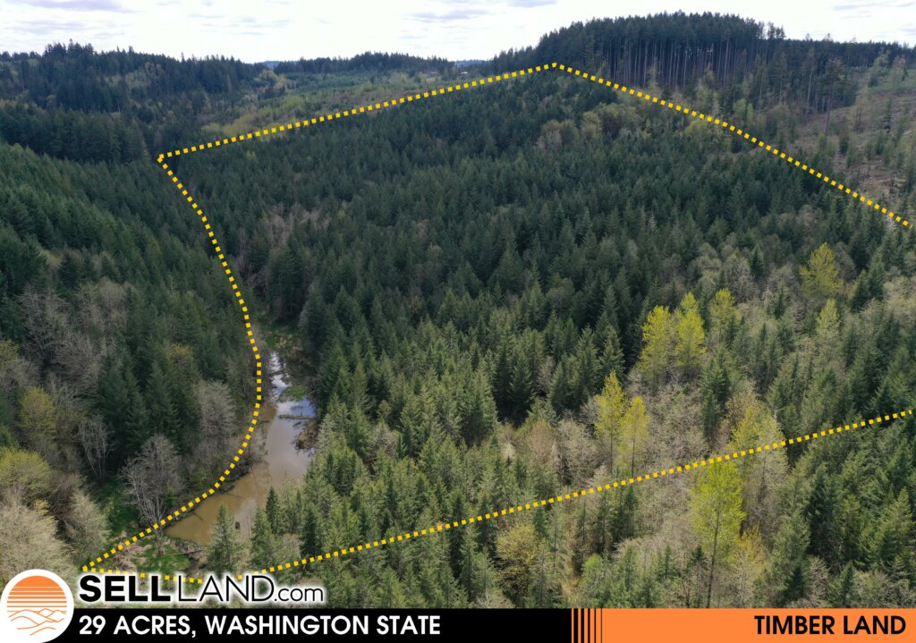29 Acres of Timber Land we purchased in Washington State